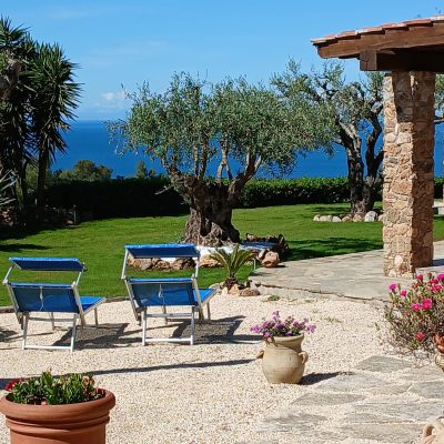 WhatsApp Image 2025-08-20 at 19.21.26 (1)