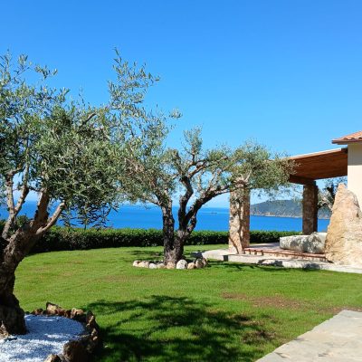 WhatsApp Image 2025-08-20 at 19.21.26